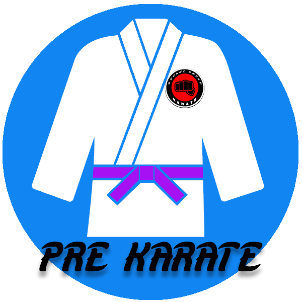 Karate niñas